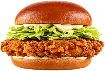 Crispy Chicken